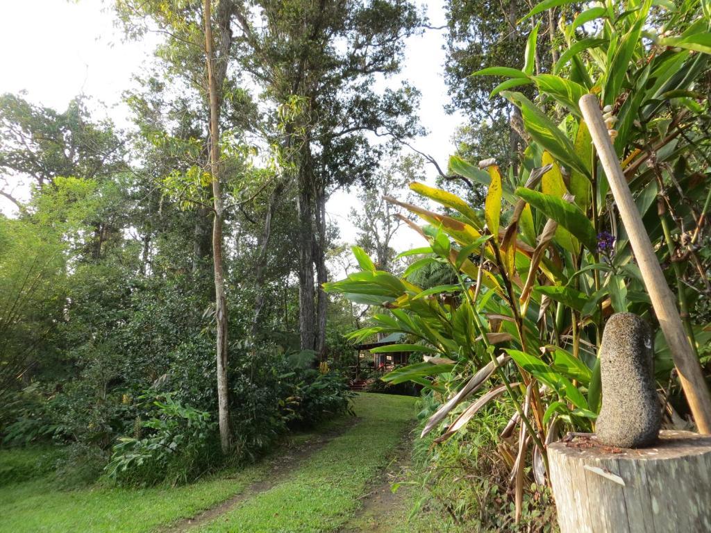 Carson'S Kaloko Mountain Cabin Kailua-Kona Exterior foto