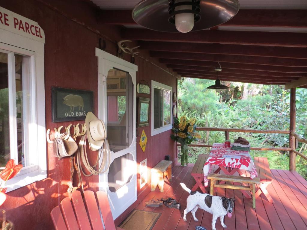 Carson'S Kaloko Mountain Cabin Kailua-Kona Zimmer foto